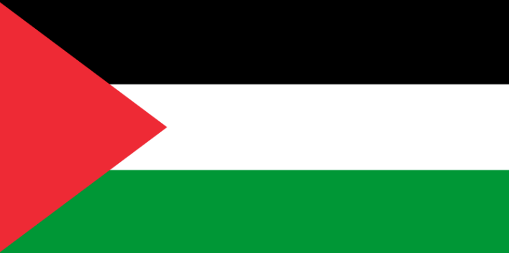Palestine Flag